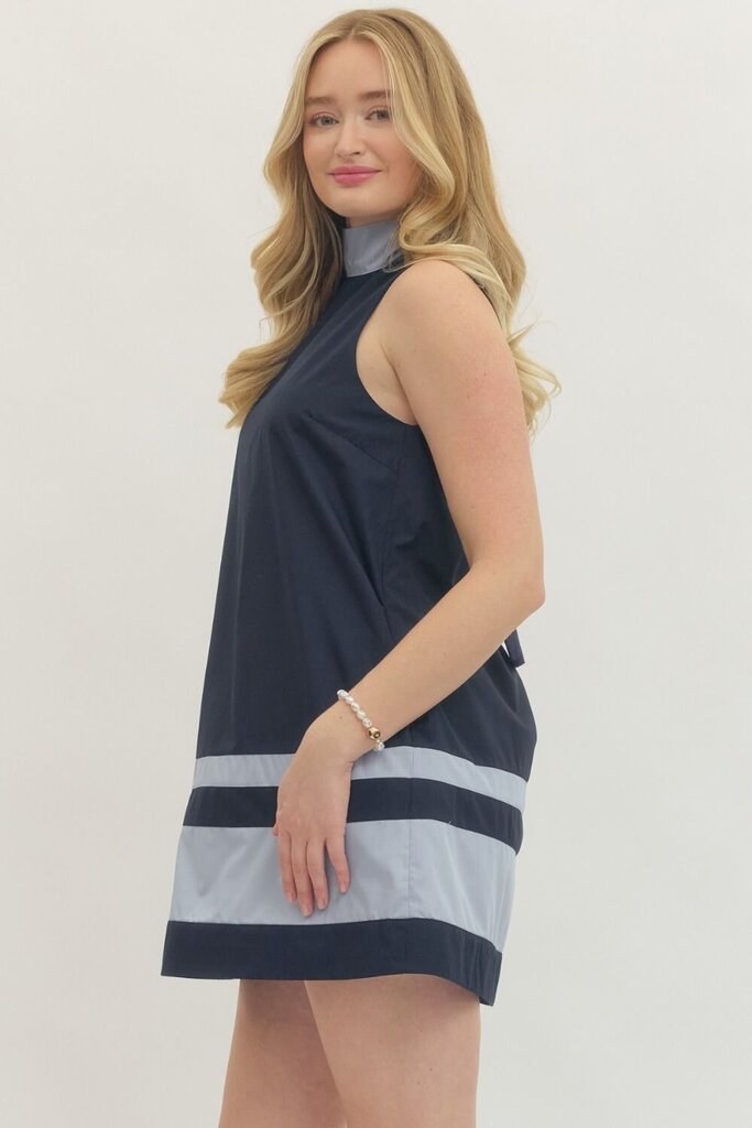 Ruffle Neck Tie Detail Dress