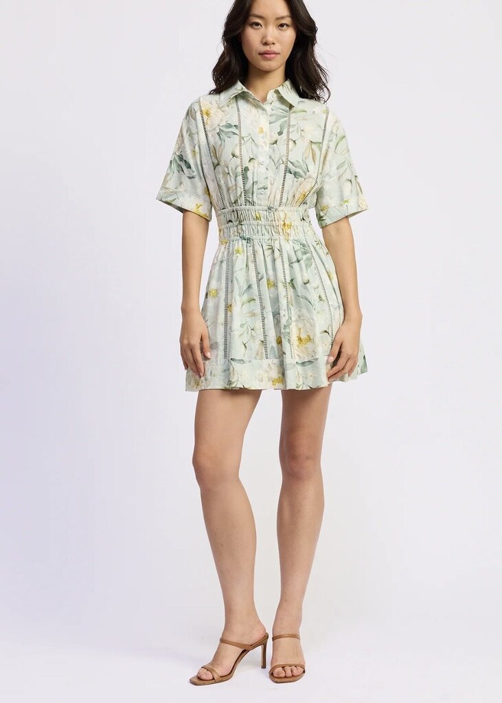 Sinched Collared Dress