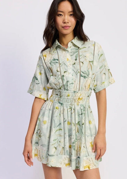 Sinched Collared Dress