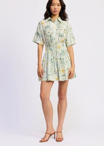 Sinched Collared Dress