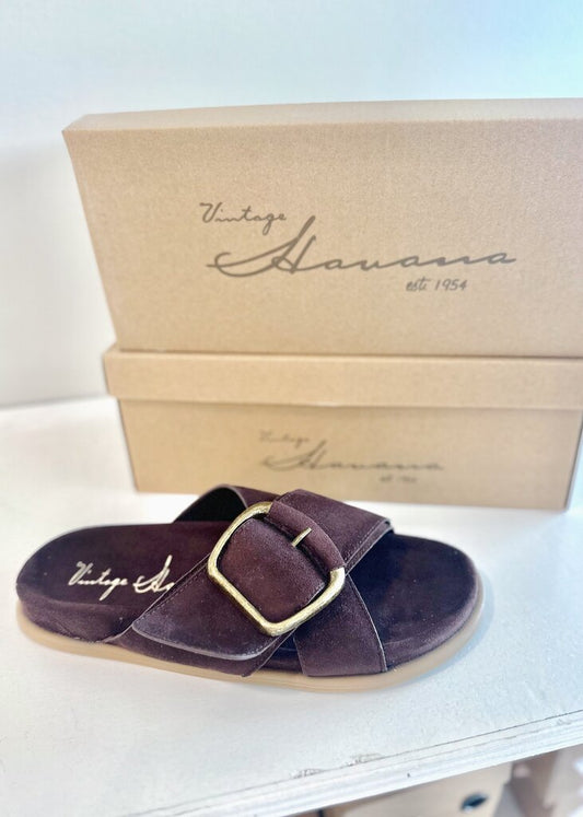 Vintage Havana Elektra Slide