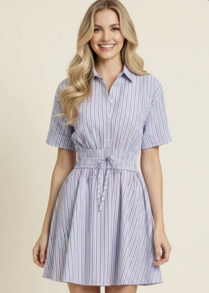 The Scout Mini Dress